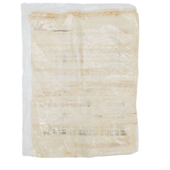 Genuine Egyptian Papyrus Hand Painted 17”‎ X 13.5” Good Quality - Picture 3 of 5